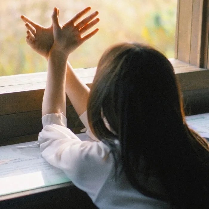 追着彩虹的我们